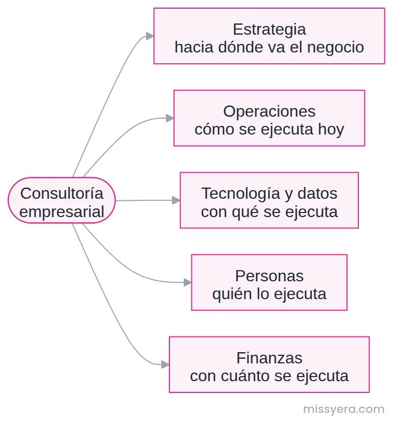 Las cinco áreas de la consultoría empresarial: estrategia, operaciones, tecnología y datos, personas y finanzas.